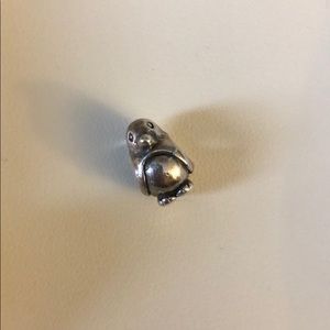 Pandora charm